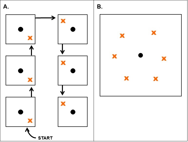 Diagrams of two different sampling schemes for trees.