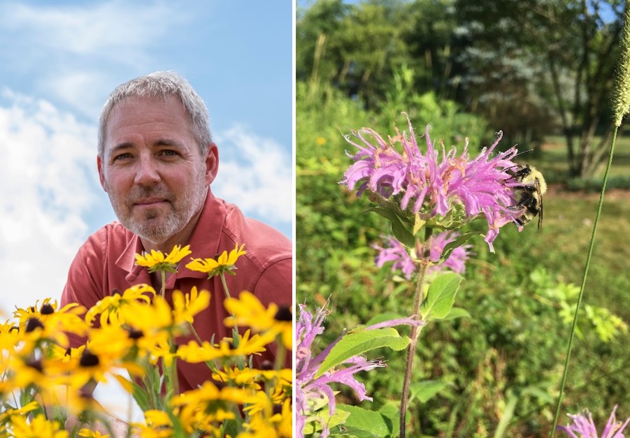 Doug Landis on the left and a flower with a bee on it to the right.