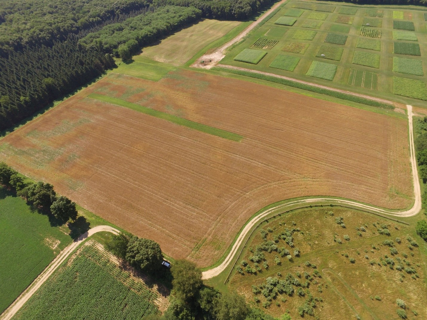 An aerial view of a field with a green prairie strip