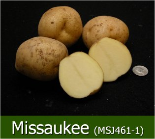 Missaukee