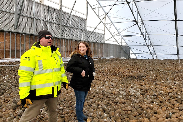 Two people on sugar beet pile