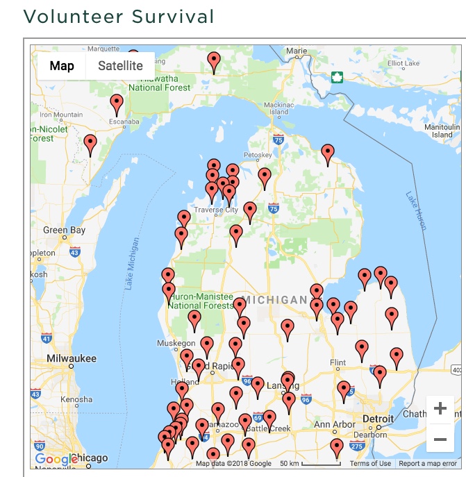 Volunteer_Survival