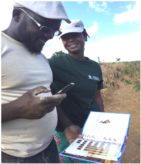 Dr. Vimbayi Chimoyo demonstrating soil app in Malawi
