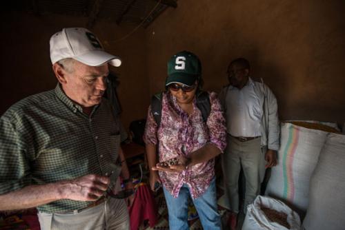 'MSU's Jim Kelly (left) and research assistant Gerardine Mukeshimana inspect harvested beans at a farm in the Gicumbi district with Edouard Murwanashyaka (right), a research technician from the Rwanda Agriculture Board'