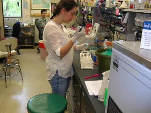 Graduate Student Extracting Pathogen DNA 