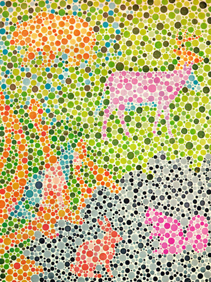 What Does It Mean To Be Colorblind 4 H Science Engineering What Does It Mean To Be Colorblind 4 H Science Engineering