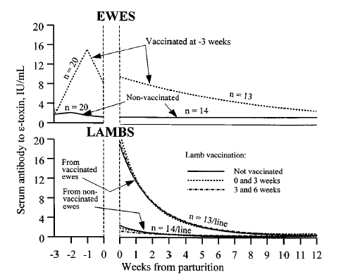 Goat Vaccination Chart