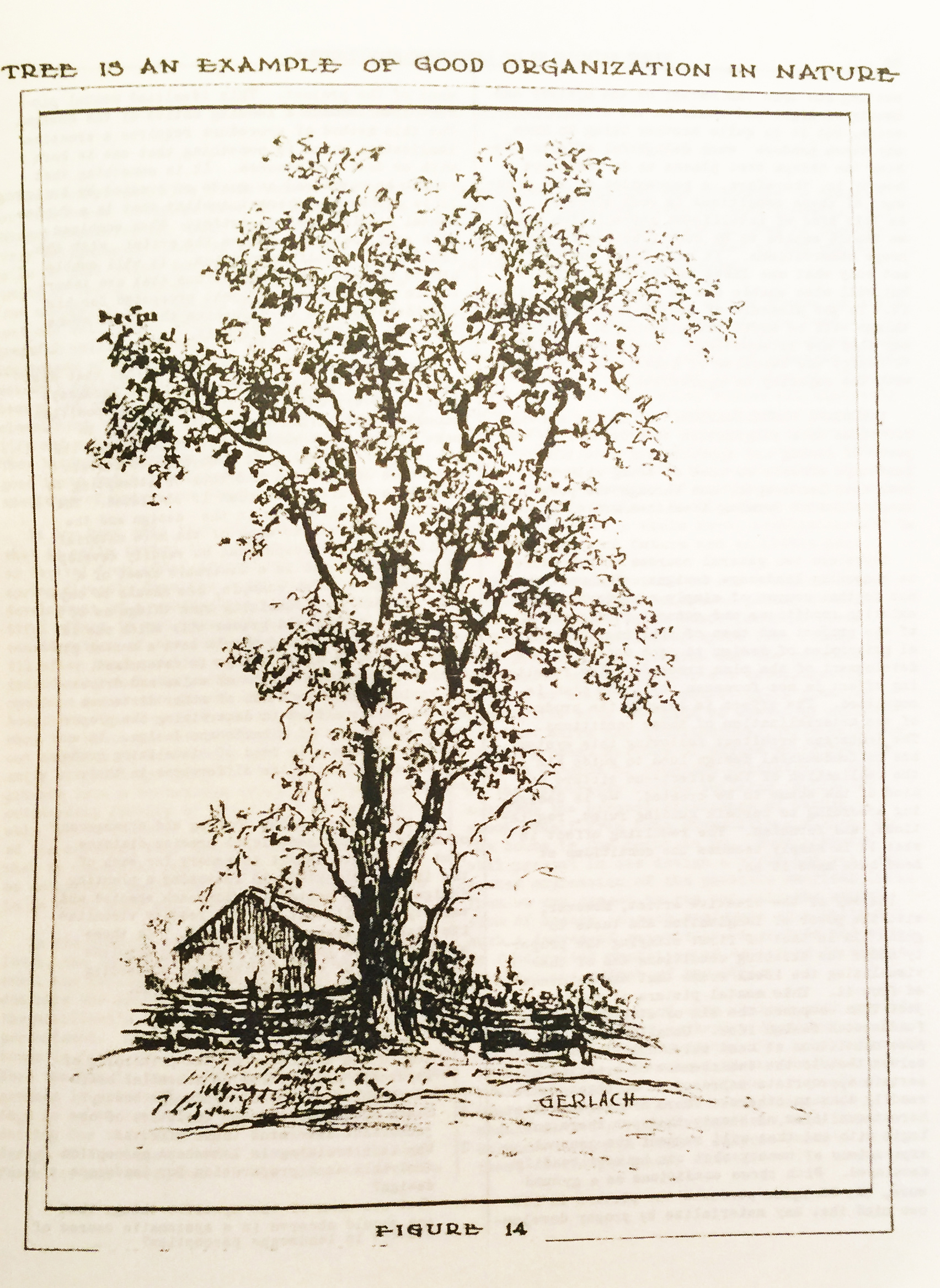 A drawing by Carl Gerlach in Halligan’s (1946, page 57) book. The image expresses the continued ideals of the picturesque. 