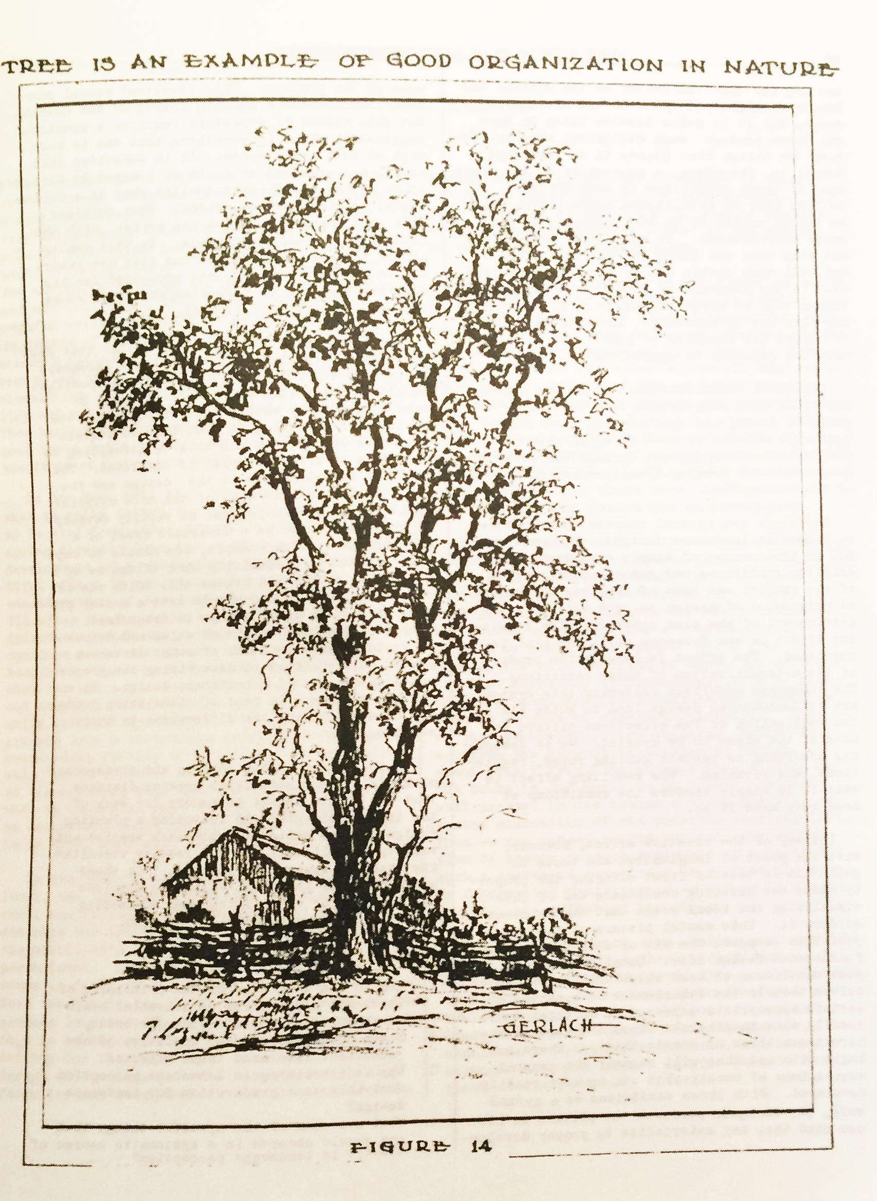 A drawing by Carl Gerlach in Halligan’s (1946, page 57) book. The image expresses the continued ideals of the picturesque.