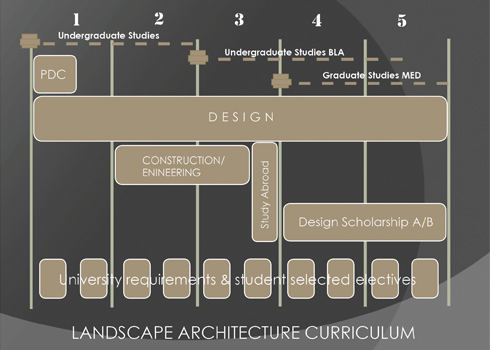 Dual degree BLA-MED 5-year curriculum diagram.