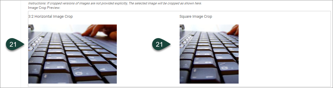 Showing the Image Crop Previews for 3:2 Horizontal and Square Image fields.