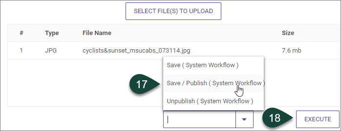 Showing Save/Publish and Execute buttons when uploading an image.