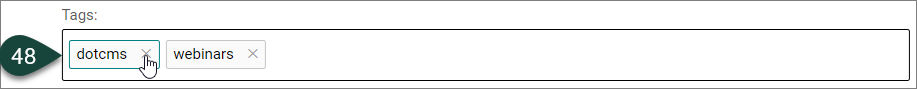 Shows the "x" that can be selected for removing applied tags.