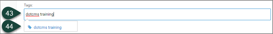 Tags field showing both a typed in tag and a resulting pre-existing tag that is available for selection