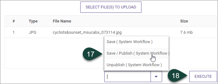 Shows the two-step process for selecting the Save and Publish button and the Execute button to publish an image to a dotCMS website folder.