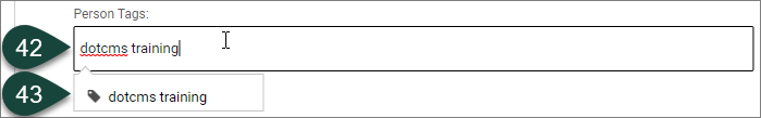 Tags field showing both a typed in tag and a resulting pre-existing tag that is available for selection.