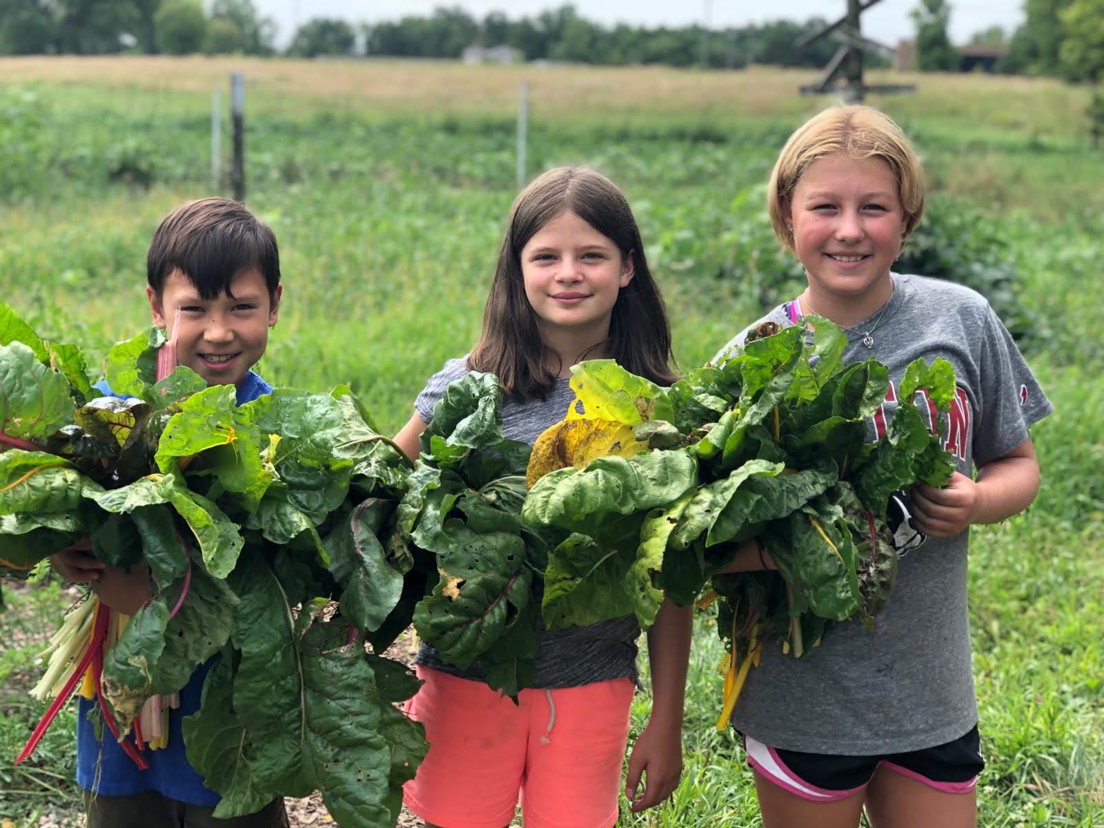 Summer Camps Tollgate Farm and Education Center