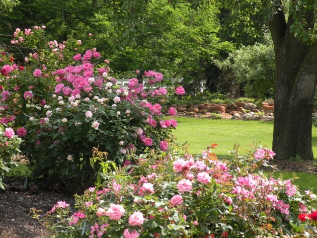 The Rose Garden - Tollgate Farm and Education Center