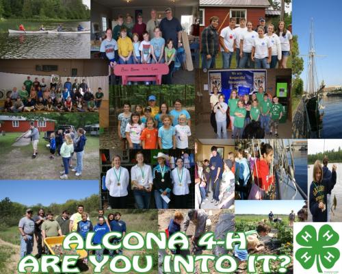 4-H Collage
