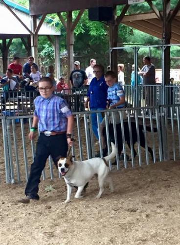 Boy showing dog