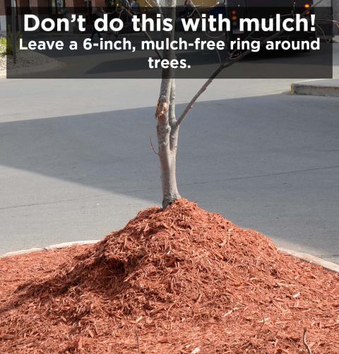 Volcano mulch