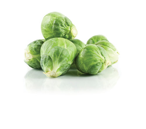 Michigan Fresh Using Storing and Preserving Brussels Sprouts