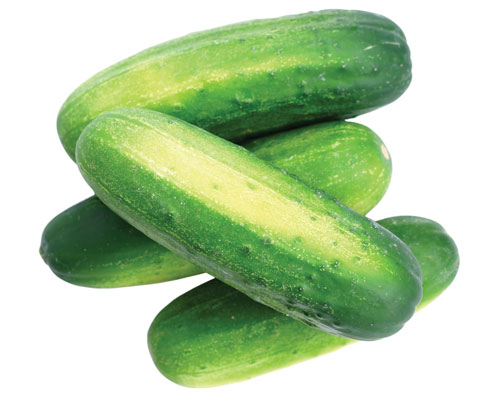 How To Keep Cucumbers Fresh