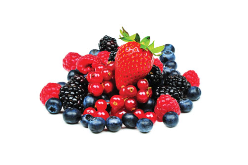 Michigan Fresh: Growing Small Fruits at Home (E3171) - MSU Extension