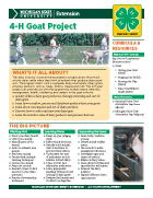 MI 4-H Goat Project Snapshot