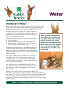 Rabbit Tracks: Water