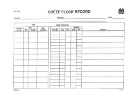 Sheep Flock Record