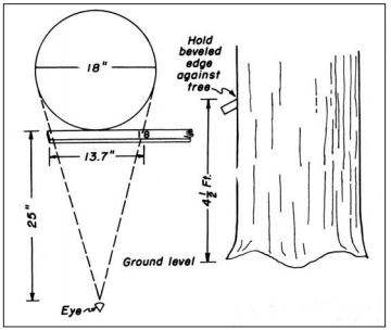 International 1 4 Inch Log Rule Chart