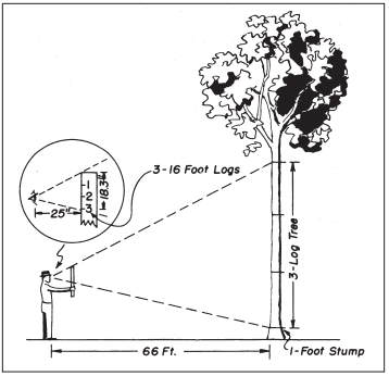 International 1 4 Inch Log Rule Chart