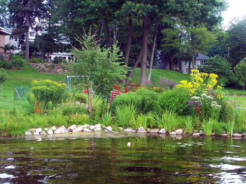 Shoreline with flowers and rocks