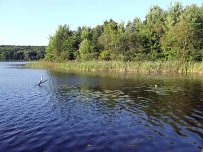 A lake.