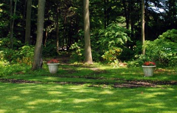 Lawn with trees