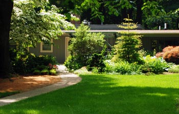 Yard and sidewalk leading up to a house.