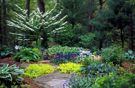 Yard with flowers and shade