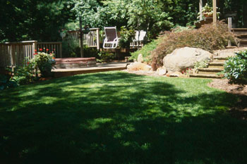 A backyard full of shade.