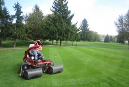 China Turfgrass Program Student / Intern Using turf rolling equipment