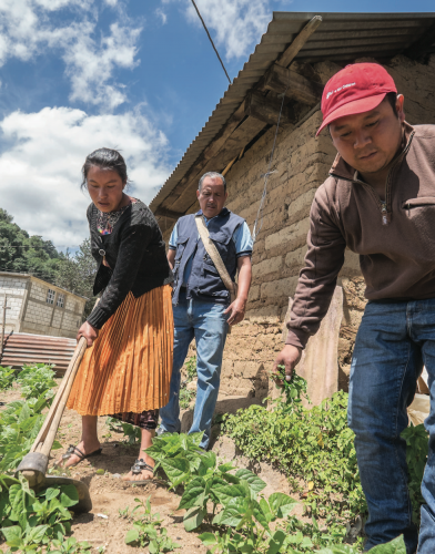 guatemalan farmers