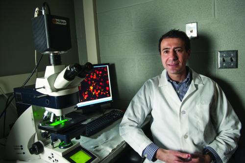 Robert Abramovitch, MSU assistant professor of microbiology and molecular genetics, is working to develop new antibiotics to treat tuberculosis, which has only seen one drug treatment option in the last 40 years. Abramovitch stresses the important role basic biological discoveries play in the process of developing new antibiotics.