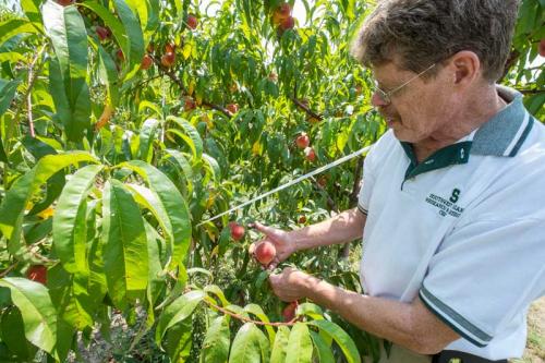 William Shane, MSU Extension specialist