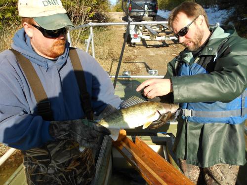 MDNR scientists Emmett Sweeney (left) and Daniel Quinn