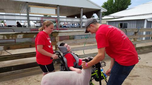 Two young people help a young man show a lamb