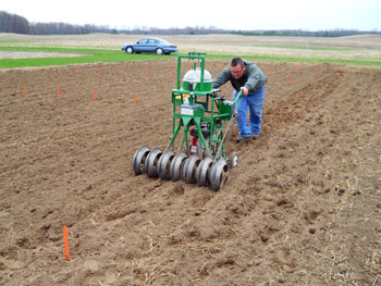 Planting management trial at UPREC