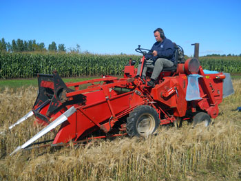 Harvest management trial