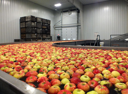 Michigan Sweet Cherries - Riveridge Produce Marketing, INC.