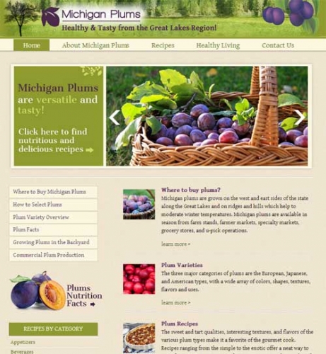Michigan Plums website