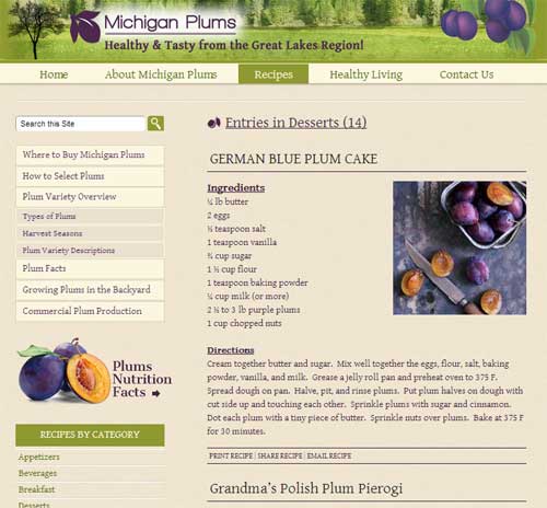 Michigan plum recipes